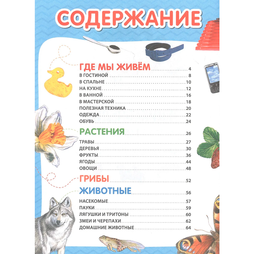 Книга 978-5-353-09911-6 Энциклопедия в картинках для самых маленьких 