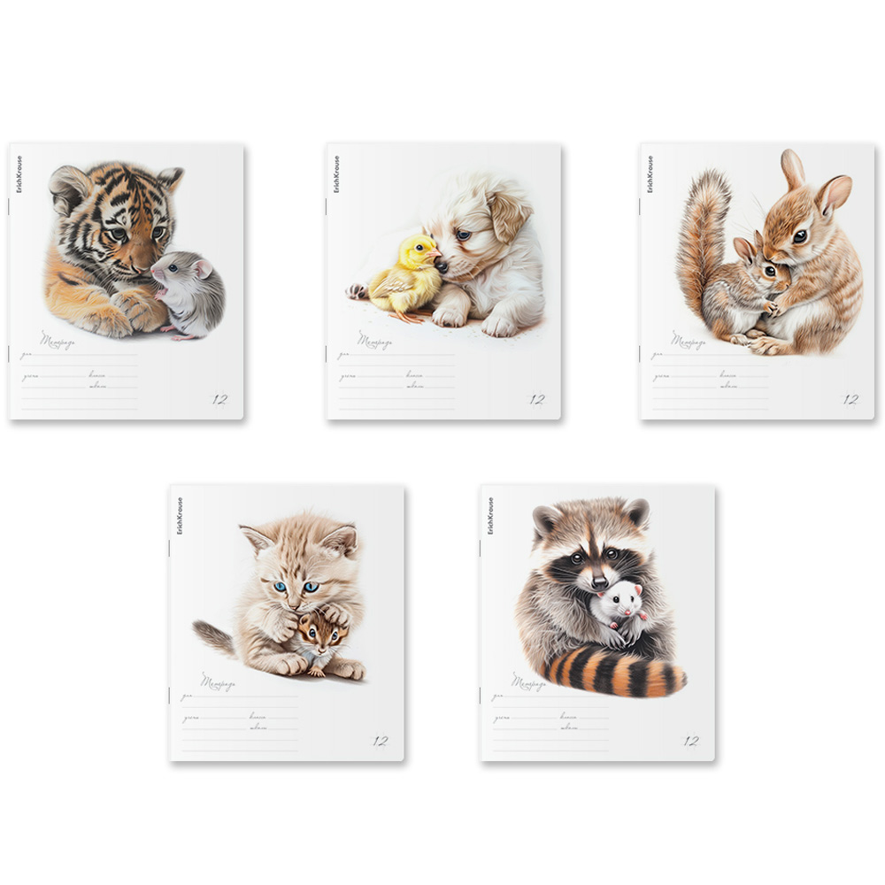 Тетрадь 12 л. клетка Little Cuties 63236 ErichKrause Тетрадь 12 л. клетка Little Cuties 63236 ErichKrause
