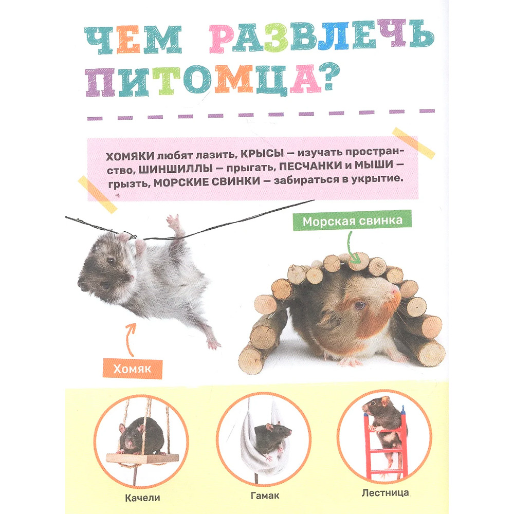 Книга 978-5-353-10384-4 Домашние питомцы. Первая энциклопедия малыша Книга 978-5-353-10384-4 Домашние питомцы. Первая энциклопедия малыша