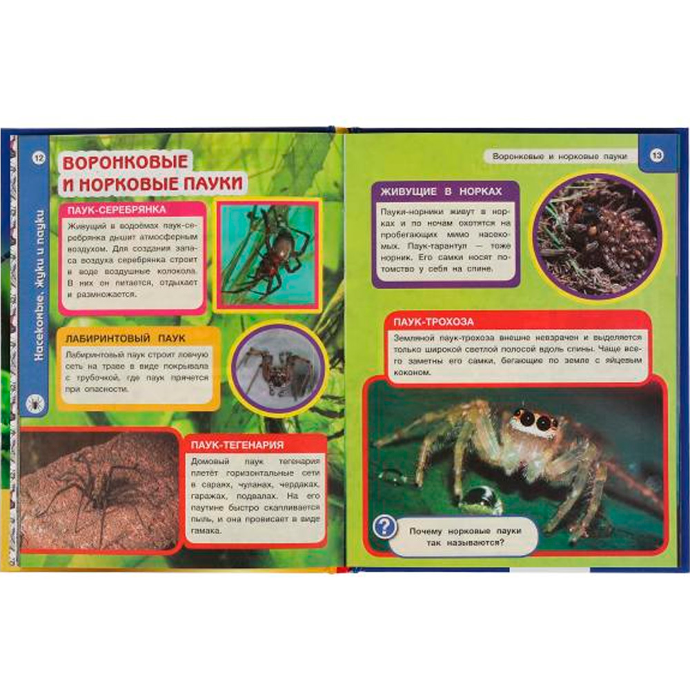 Книга Умка 9785506061601 Энциклопедия Насекомые, жуки и пауки. Хочу все знать