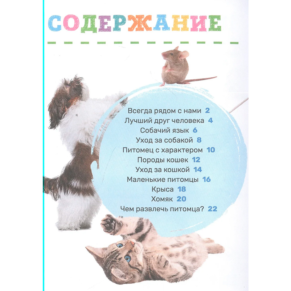 Книга 978-5-353-10384-4 Домашние питомцы. Первая энциклопедия малыша Книга 978-5-353-10384-4 Домашние питомцы. Первая энциклопедия малыша