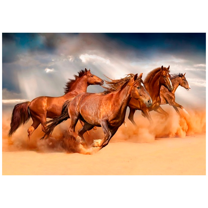 Набор ДТ Роспись по холсту Бегущие лошади в пустыне 40*50см ХК-8014.