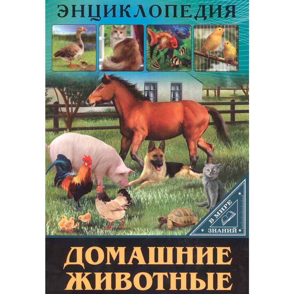 Книга Энциклопедия В Мире знаний 978-5-378-27606-6 Домашние животные